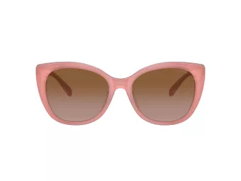 Coach Ch566 Sonnenbrille HC 8365U 574313