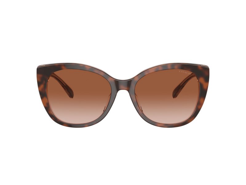 Coach Ch566 Sonnenbrille HC 8365U 574413