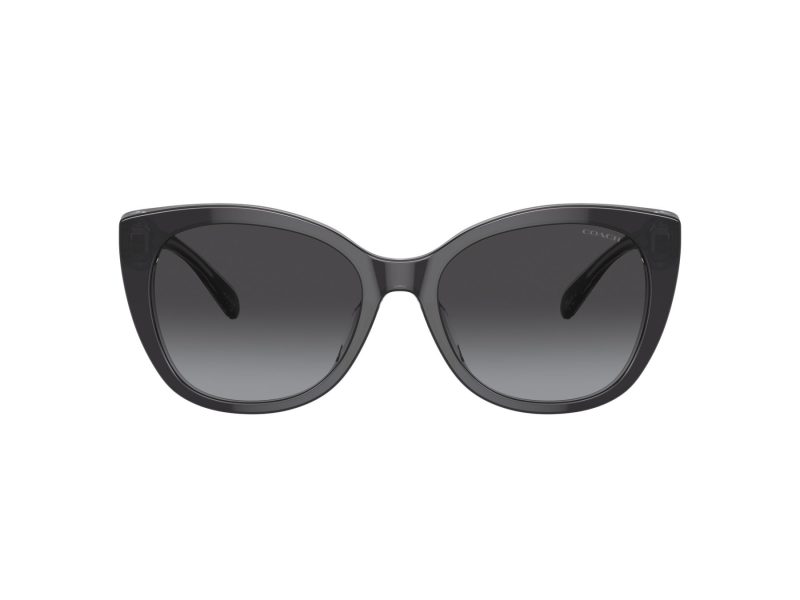 Coach Ch566 Sonnenbrille HC 8365U 57458G