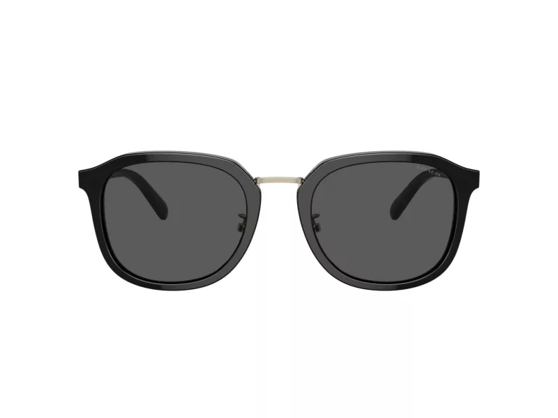 Coach Ch577 Sonnenbrille HC 8366 500287