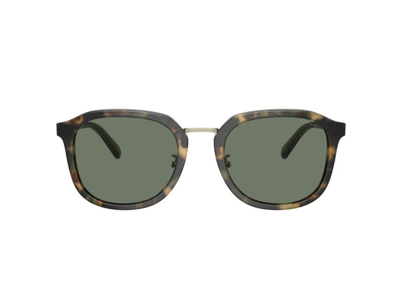 Coach Ch577 Sonnenbrille HC 8366 53243H