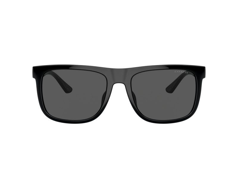 Coach Ch581 Sonnenbrille HC 8367U 500287
