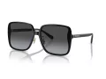 Coach Ch572 Sonnenbrille HC 8368D 50028G