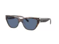 Coach Ch570 Sonnenbrille HC 8370U 574280