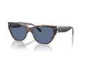 Coach Ch570 Sonnenbrille HC 8370U 574280