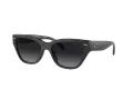 Coach Ch570 Sonnenbrille HC 8370U 5764T3
