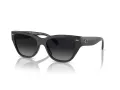 Coach Ch570 Sonnenbrille HC 8370U 5764T3