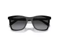 Coach Ch561 Sonnenbrille HC 8374U 50028G