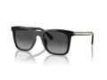 Coach Ch561 Sonnenbrille HC 8374U 50028G