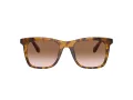 Coach Ch561 Sonnenbrille HC 8374U 512013