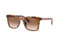 Coach Ch561 Sonnenbrille HC 8374U 512013