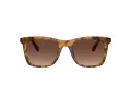 Coach Ch561 Sonnenbrille HC 8374U 5120T5
