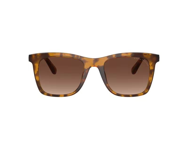 Coach Ch561 Sonnenbrille HC 8374U 5120T5