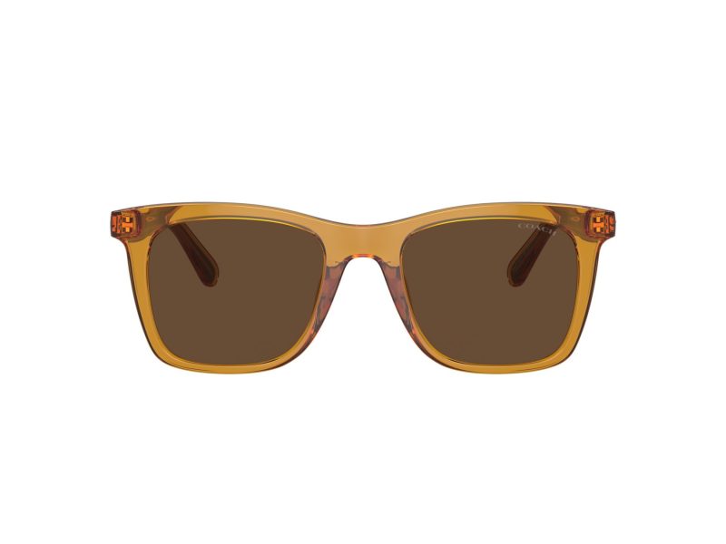 Coach Ch561 Sonnenbrille HC 8374U 57483G