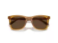 Coach Ch561 Sonnenbrille HC 8374U 57483G