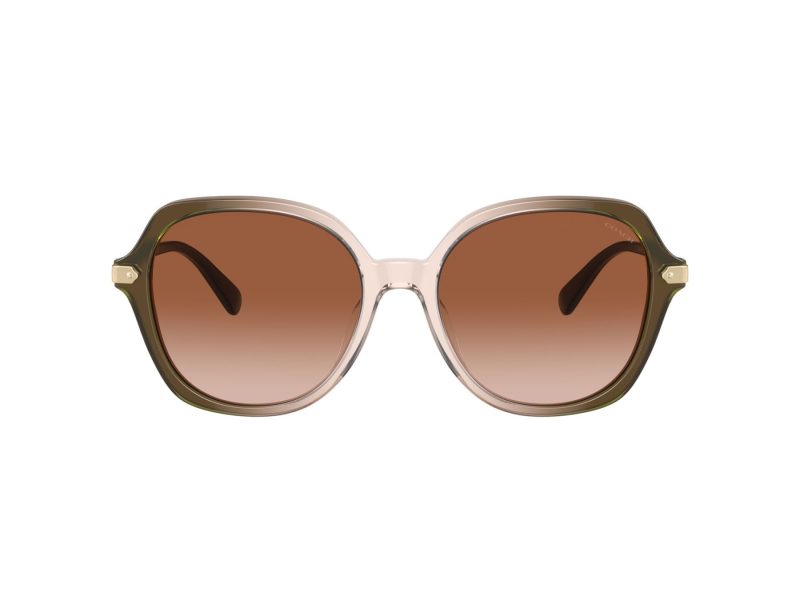 Coach Cl925 Sonnenbrille HC 8377U 540013