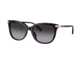 Coach Cl926 Sonnenbrille HC 8378U 50028G