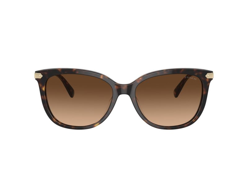 Coach Cl926 Sonnenbrille HC 8378U 512074