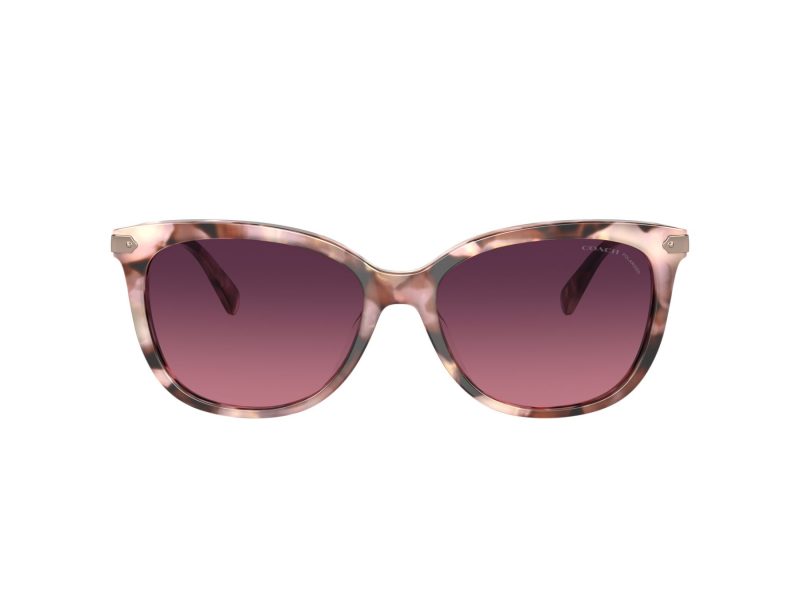Coach Cl926 Sonnenbrille HC 8378U 5528F4