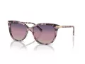 Coach Cl926 Sonnenbrille HC 8378U 5777U6