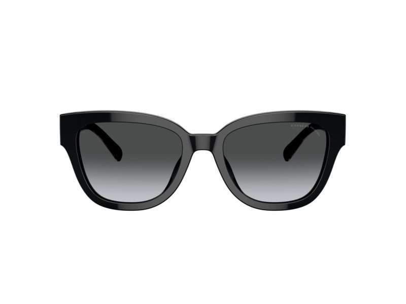 Coach Cl920 Sonnenbrille HC 8379U 5002T3