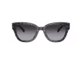Coach Cl920 Sonnenbrille HC 8379U 55208G