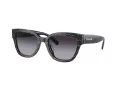 Coach Cl920 Sonnenbrille HC 8379U 55208G