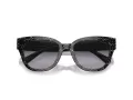 Coach Cl920 Sonnenbrille HC 8379U 55208G