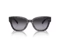 Coach Cl920 Sonnenbrille HC 8379U 55208G