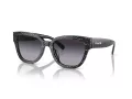 Coach Cl920 Sonnenbrille HC 8379U 55208G