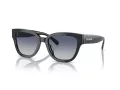 Coach Cl920 Sonnenbrille HC 8379U 57654L