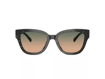 Coach Cl920 Sonnenbrille HC 8379U 578413