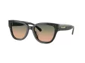 Coach Cl920 Sonnenbrille HC 8379U 578413