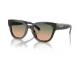 Coach Cl920 Sonnenbrille HC 8379U 578413