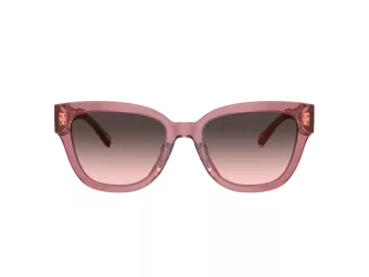 Coach Cl920 Sonnenbrille HC 8379U 580046