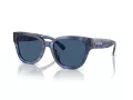 Coach Cl920 Sonnenbrille HC 8379U 583755