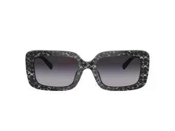 Coach Cl922 Sonnenbrille HC 8380U 55208G