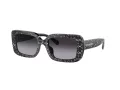 Coach Cl922 Sonnenbrille HC 8380U 55208G