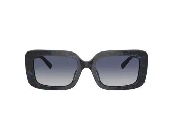 Coach Cl922 Sonnenbrille HC 8380U 57654L