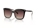 Coach Cl918 Sonnenbrille HC 8381U 5781E2