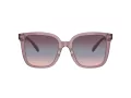 Coach Cl918 Sonnenbrille HC 8381U 57820J