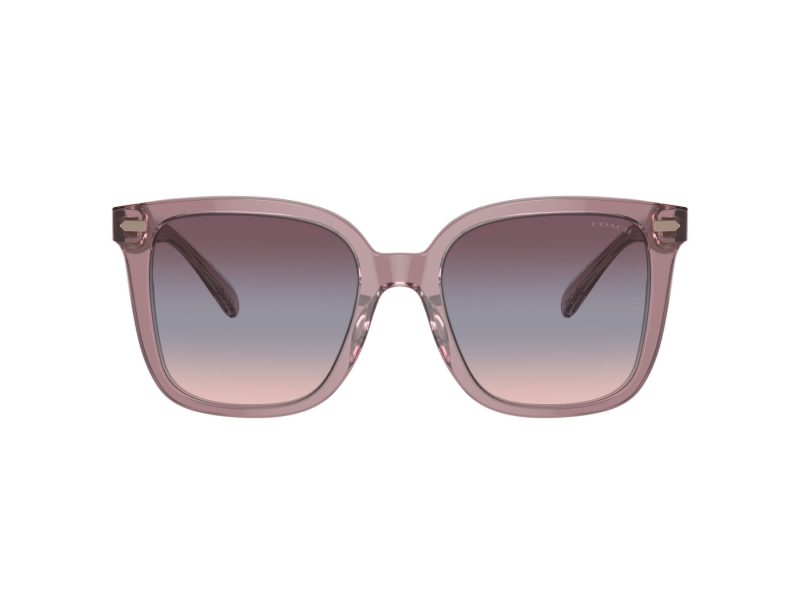 Coach Cl918 Sonnenbrille HC 8381U 57820J