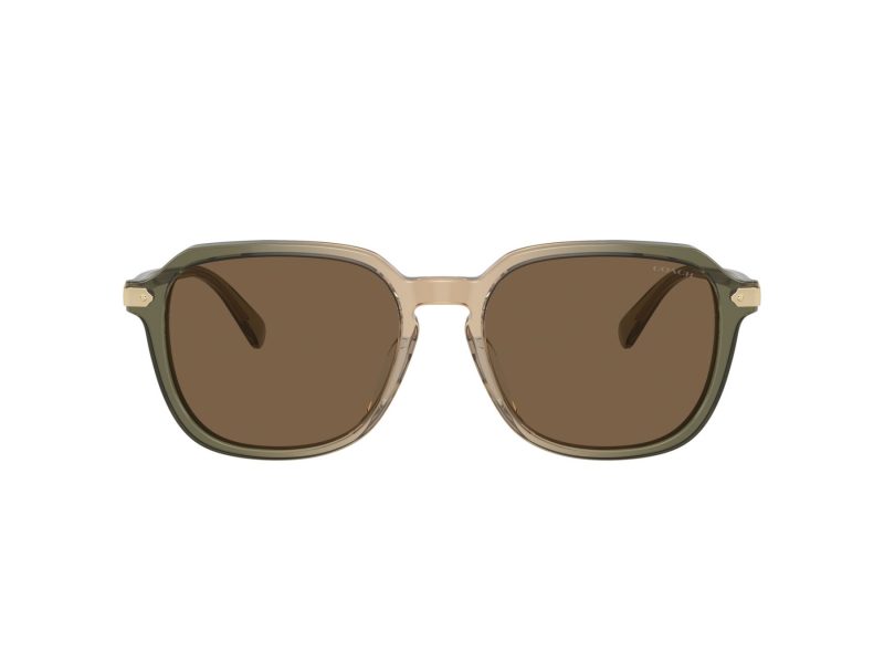 Coach Cl912 Sonnenbrille HC 8383U 579773
