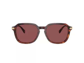 Coach Cl912 Sonnenbrille HC 8383U 579875