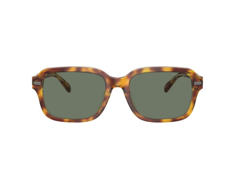 Coach Cl914 Sonnenbrille HC 8388U 57563H