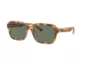 Coach Cl914 Sonnenbrille HC 8388U 57563H