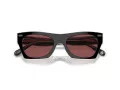 Coach Cl917 Sonnenbrille HC 8389U 572875