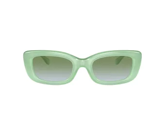 Coach Cr610 Sonnenbrille HC 8390U 5807I7