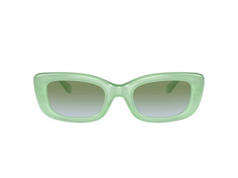 Coach Cr610 Sonnenbrille HC 8390U 5807I7