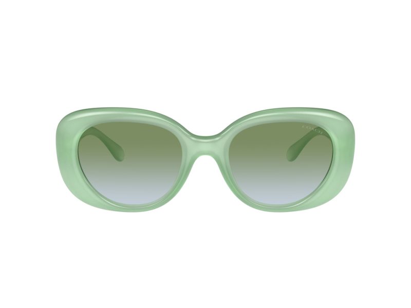 Coach Cr609 Sonnenbrille HC 8391U 5807I7